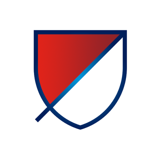 Major Soccer League (6)