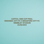 EPL Capital One Cup Final 2013 Swansea Home - Swansea VS Bradford Match Details