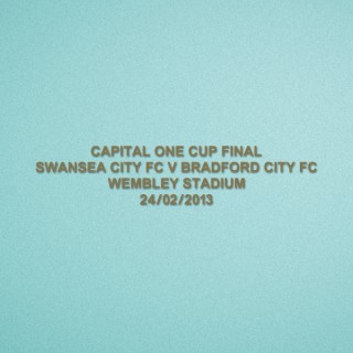 EPL Capital One Cup Final 2013 Swansea Home - Swansea VS Bradford Match Details