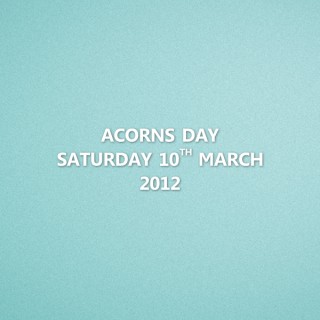 EPL 2012 Aston Villa Home - Acorns Day Saturday 10th March 2012 Match Details