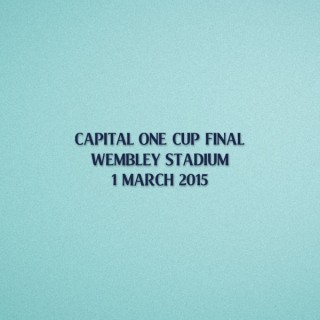 EPL Capital One Cup Final 2015 Tottenham Home - Chelsea VS Tottenham Match Details