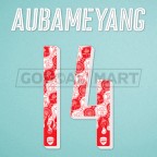 Arsenal 2018-2019 Aubameyang #14 Singapore pre-season tour Homekit Nameset Printing