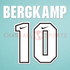 Arsenal 1994-1995 Bergkamp #10 Homekit Nameset Printing 