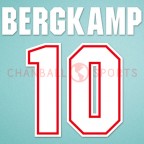 Arsenal 1995-1996 Bergkamp #10 Awaykit Nameset Printing 