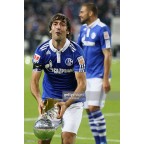 Germany Bundesliga DFL Super Cup 2011 Sleeve Soccer Patch / Badge