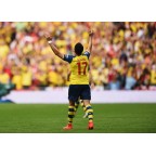 Arsenal 2014-2015 Alexis #17 FA Cup Awaykit Nameset Printing