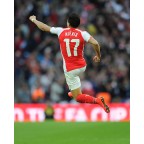 Arsenal 2014-2015 Alexis #11 FA Cup Homekit Nameset Printing