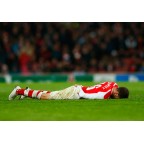 Arsenal 2014-2015 Ramsey #16 Champions League Homekit Nameset Printing