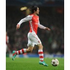 Arsenal 2014-2015 Rosicky #7 Champions League Homekit Nameset Printing