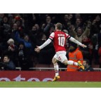 Arsenal 2012-2013 Wilshere #10 FA Cup Homekit Nameset Printing