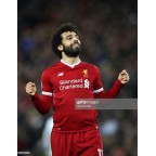 Liverpool 2017-2018 Salah #11 Champions League Homekit Nameset Printing