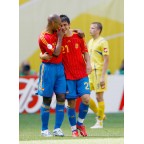 Spain 2006 David Villa #21 World Cup Homekit Nameset Printing 