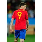 Spain 2010 Torres #9 World Cup Homekit Nameset Printing 