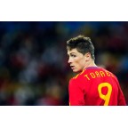 Spain 2010 Torres #9 World Cup Homekit Nameset Printing 